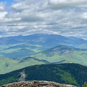 Fundraising Page: Lisa Meyers